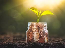 Grow with kash